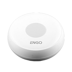 23071_ENGO_ELS
