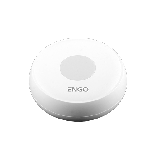 23071_ENGO_ELS